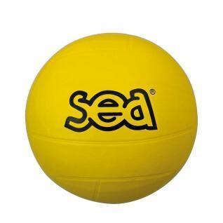 Multisportball SEA