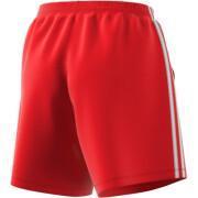 Damen-Shorts adidas Originals Adicolor Ripstop