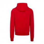 Sweatshirt mit Kapuze Errea essential big logo tonal fleece